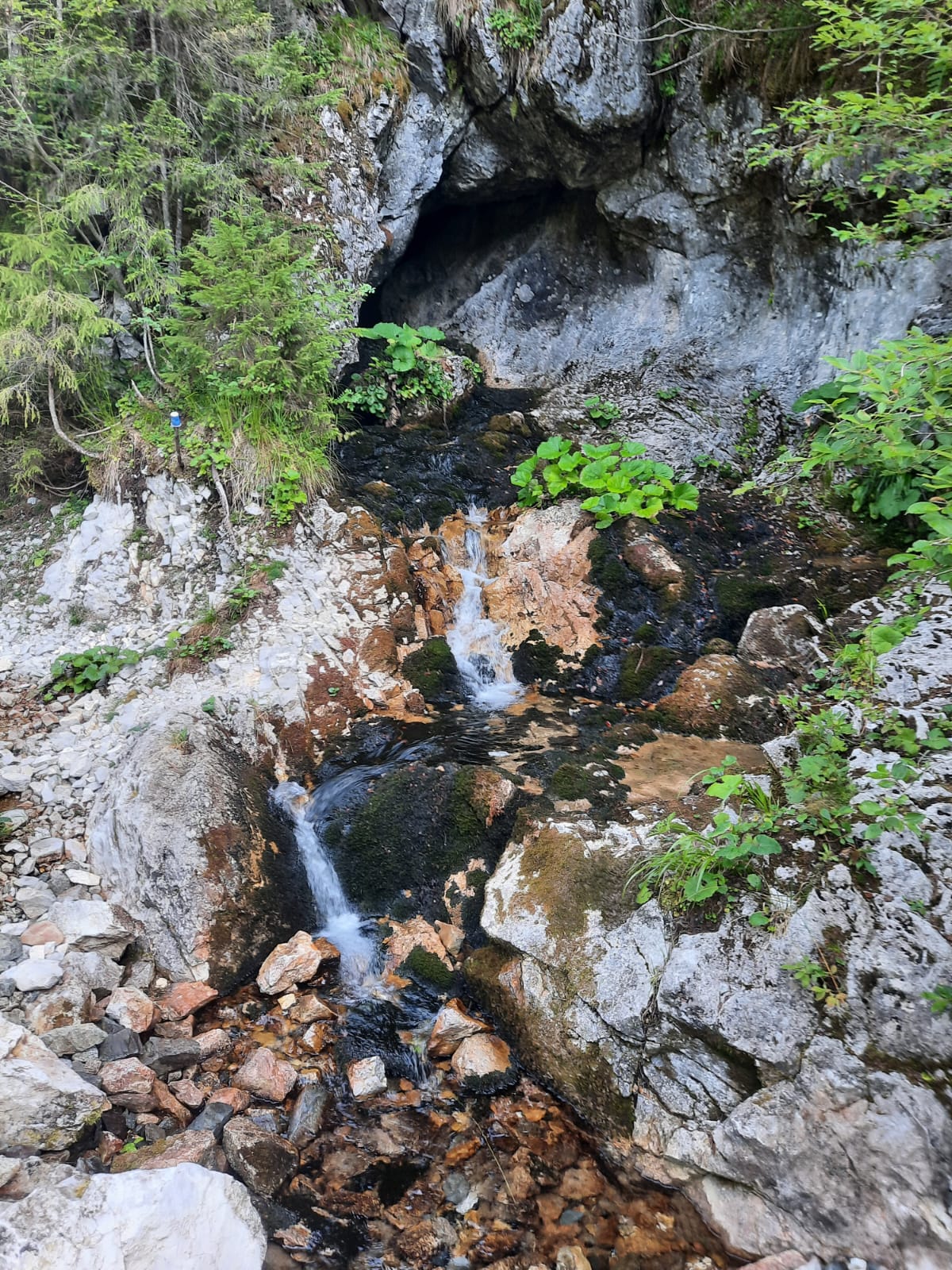 Peștera Pepii - Image 1